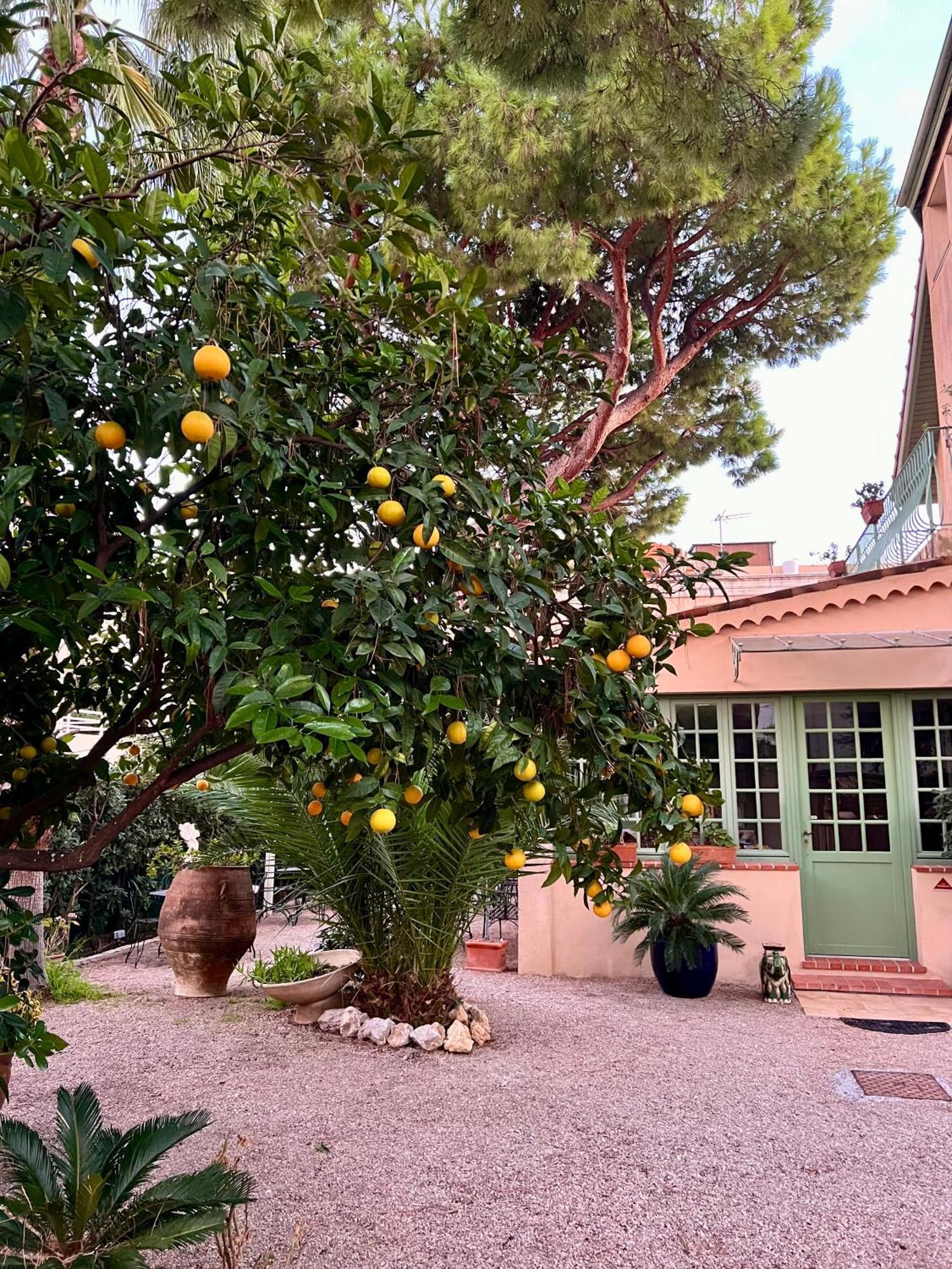 Hotel Le Ponteil Antibes Eksteriør billede